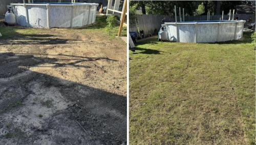 Pool_Yard_Cleanup